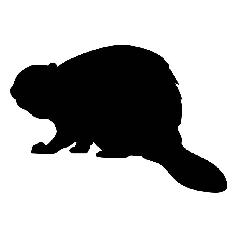 Beaver