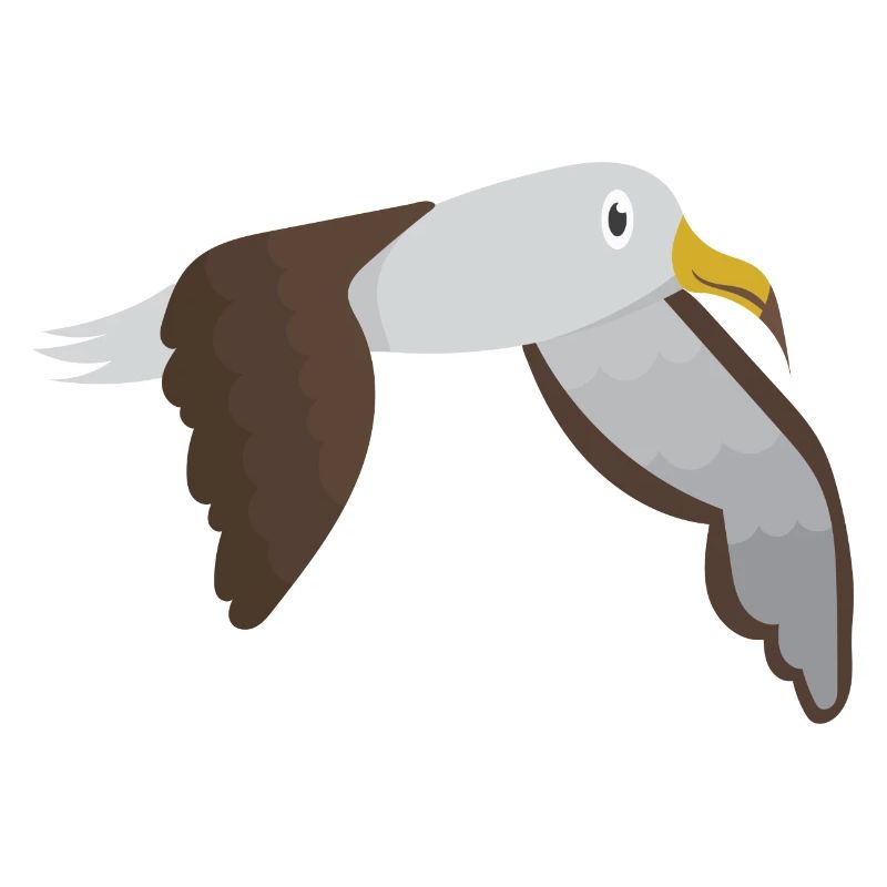 Albatros