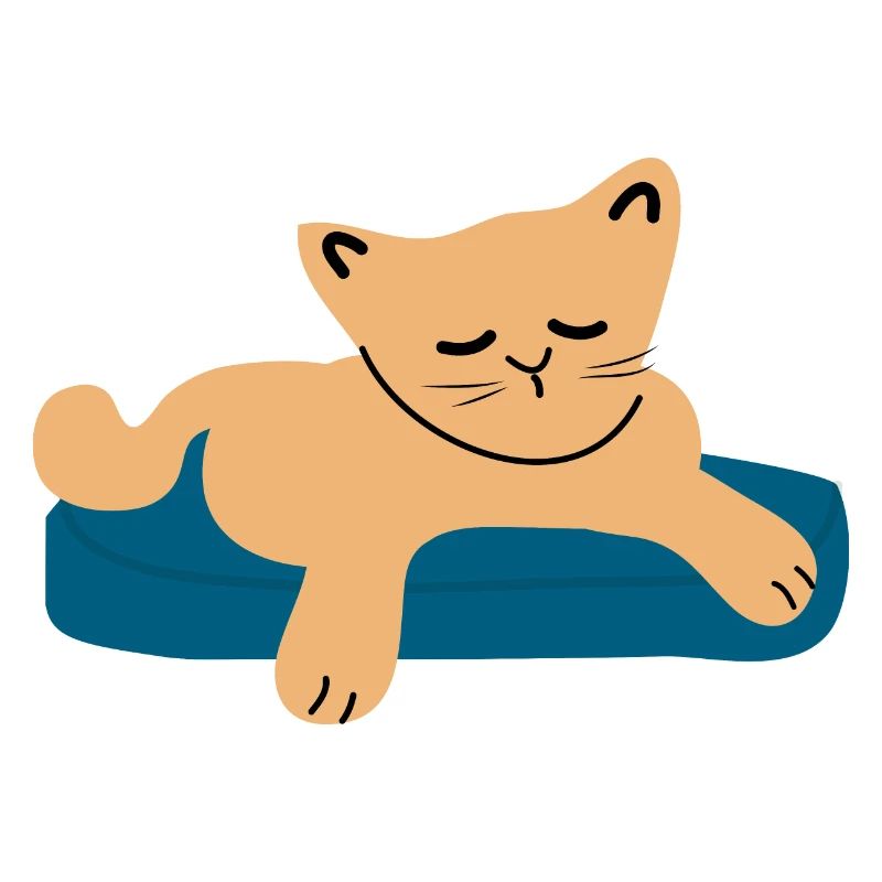 Schlafendes Baby Katze3