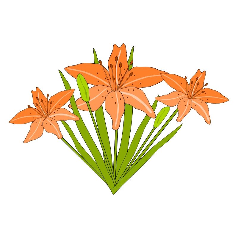 Feuerlilien