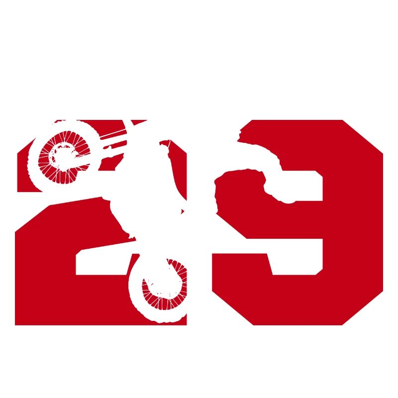 Moto 29 Biker