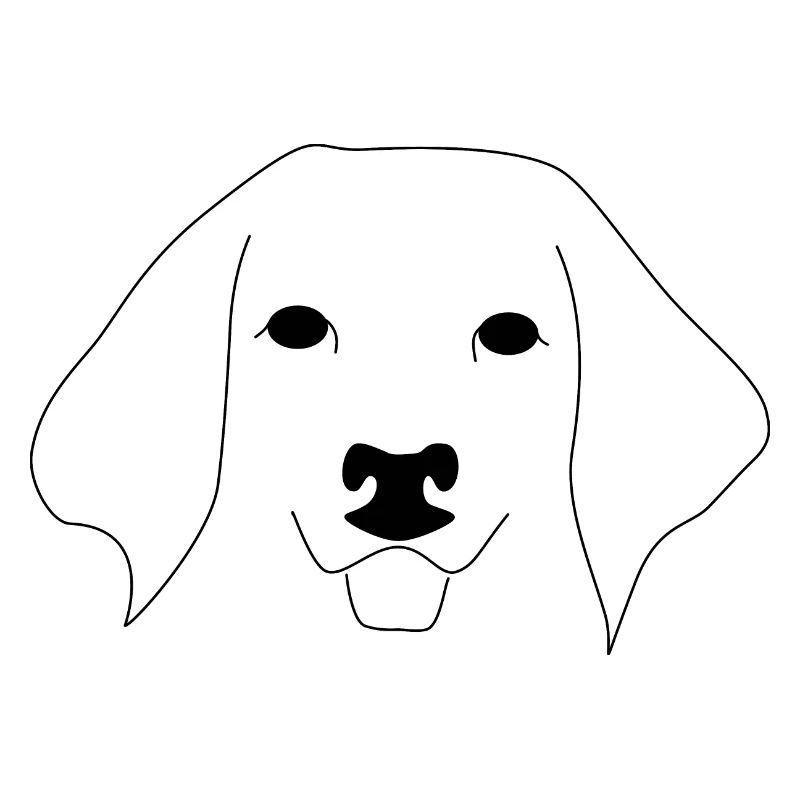 Hund
