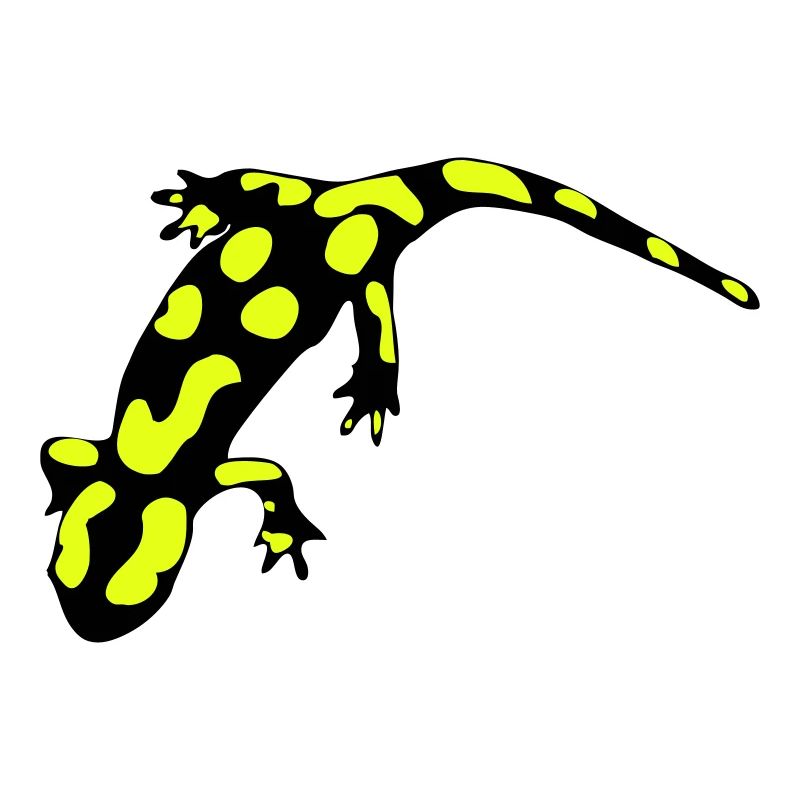 Feuersalamander (ital.)