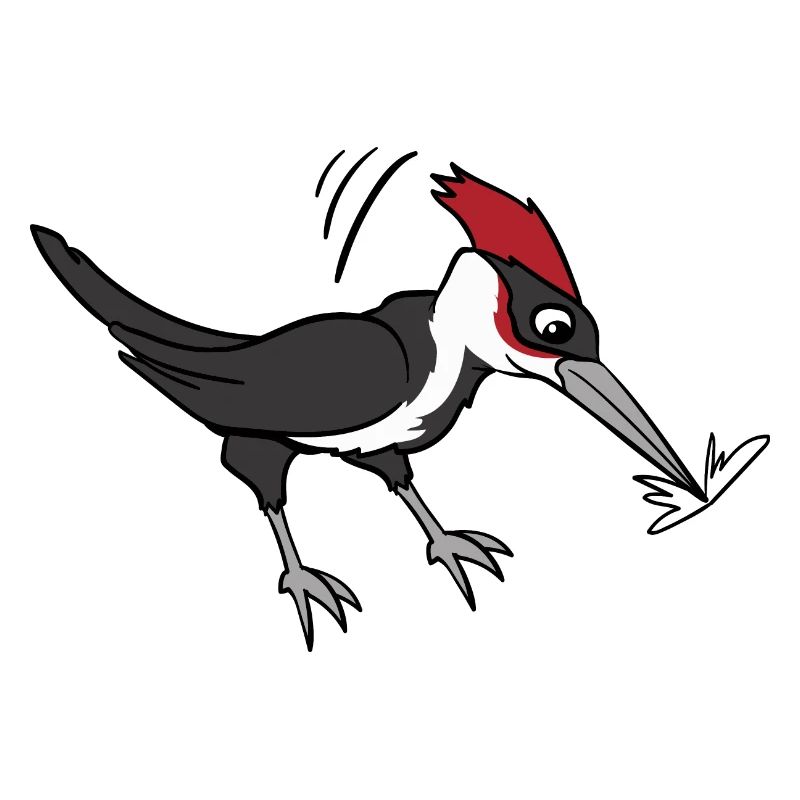 Specht Vogel Vögel