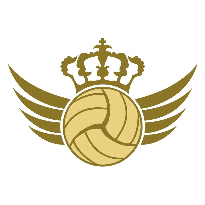 Volleyball Blazon Design