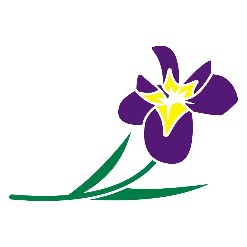 Blumen: Iris