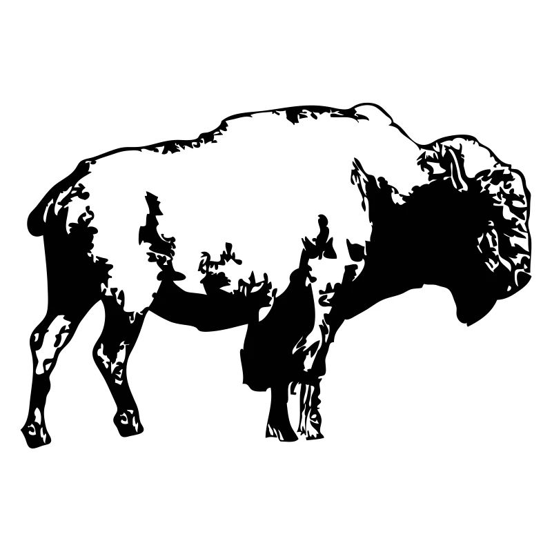 Buffalo - Bull