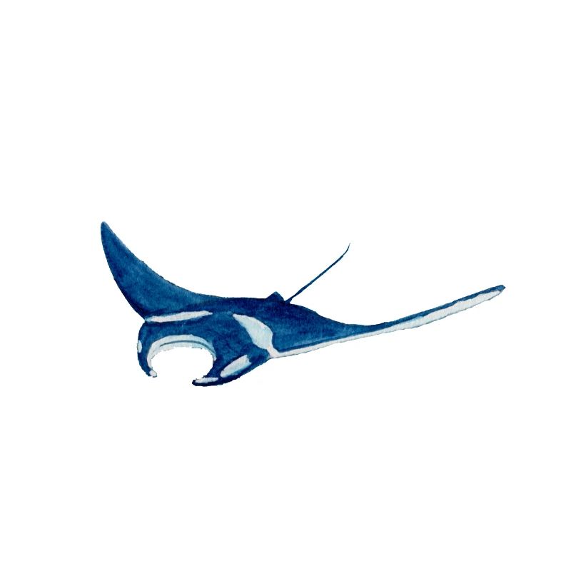 Mantarochen
