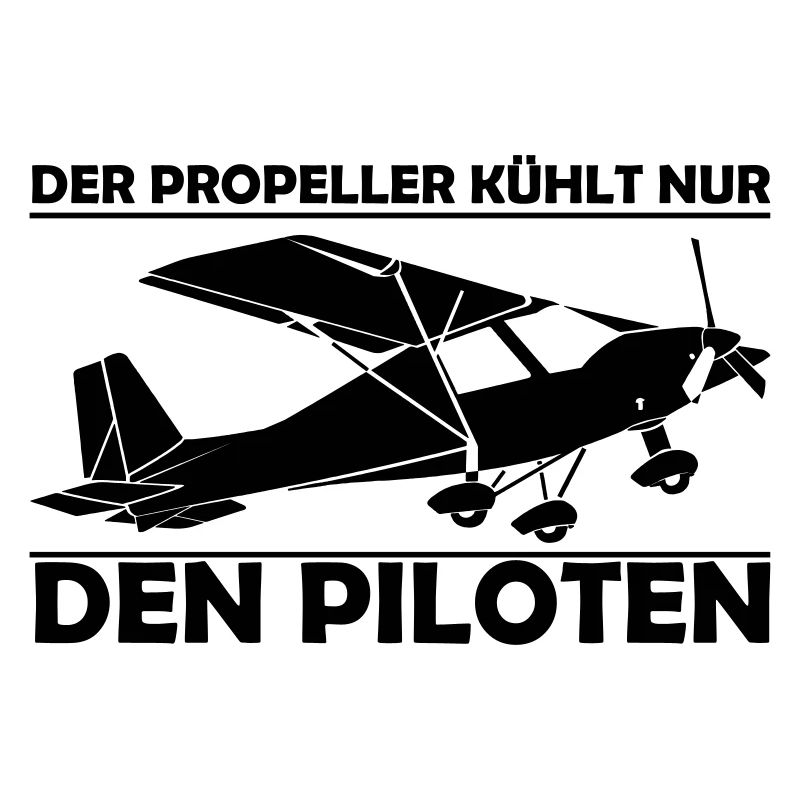 C42 Ultraleichtflugzeug Geschenk