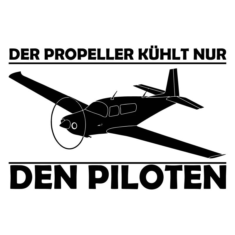 Mooney Motorflugzeug Geschenk