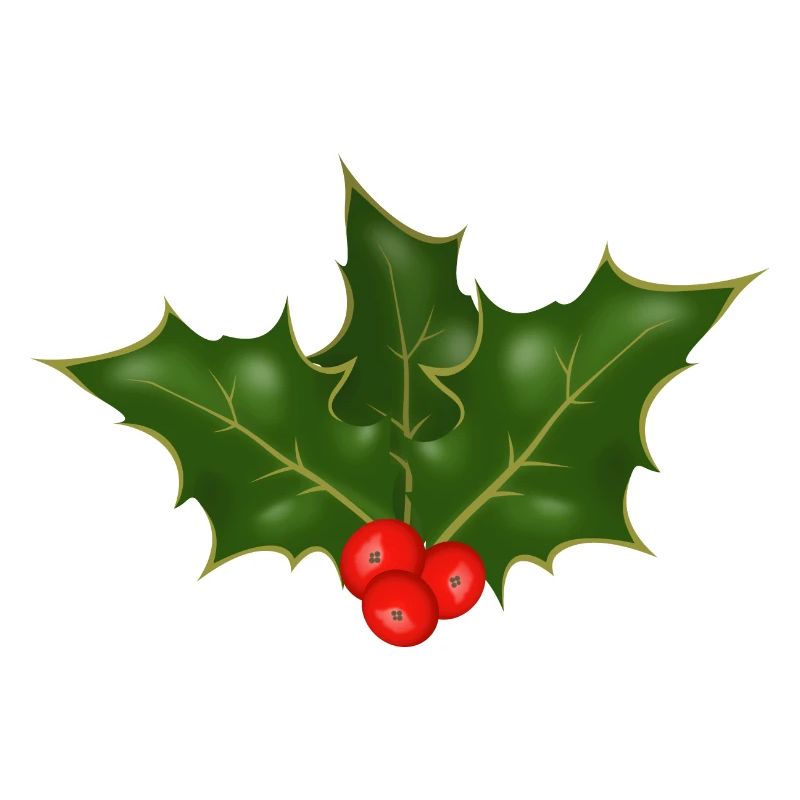 Holly