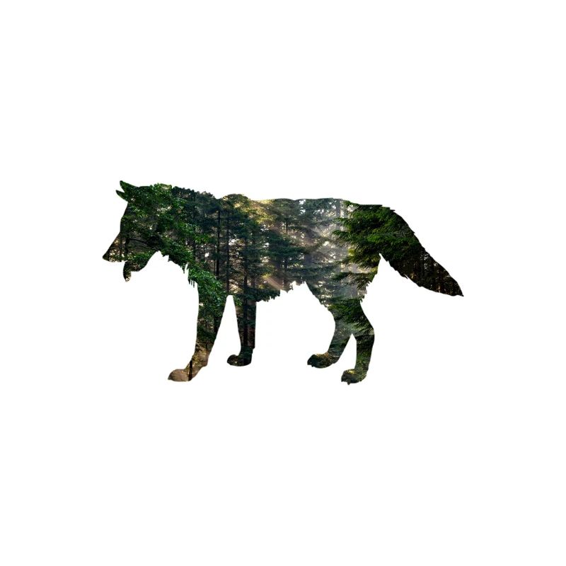 Wolf Wald