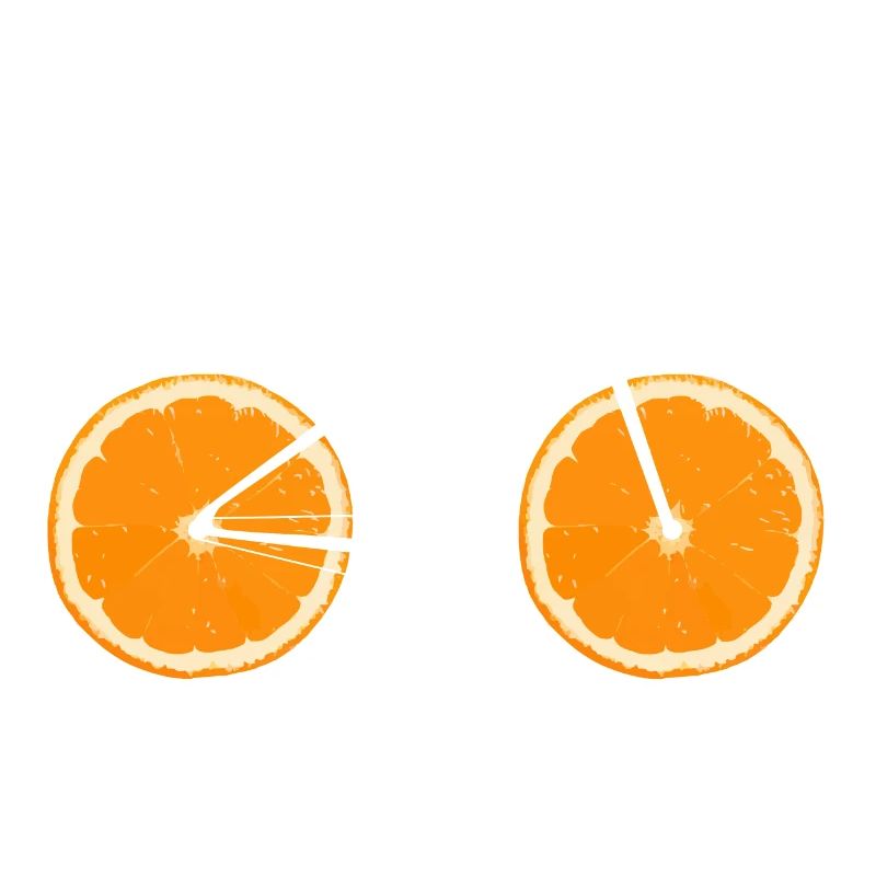 Fruit Bicycle Lemon Lime Orange / Gift