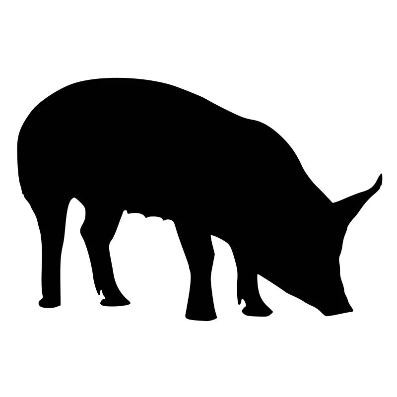 schwarzes Schwein