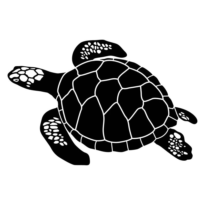Schildkröte