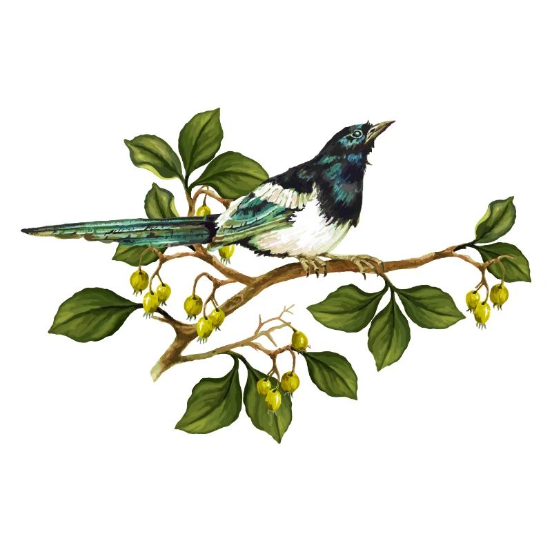 Bunter Vogel