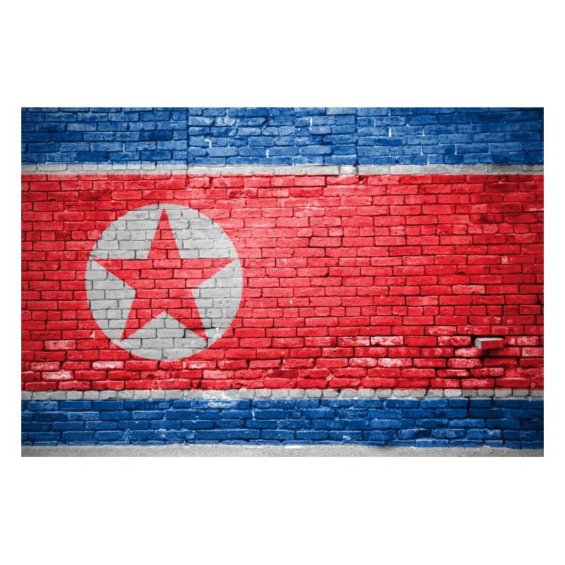 Drapeau de la Corée du Nord Graffiti sur mur de briques