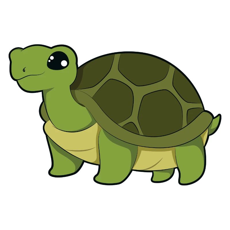Schildkröte