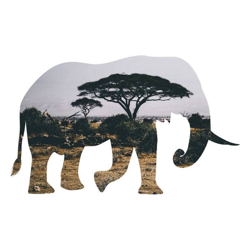 Elefant Savanne Silhouette