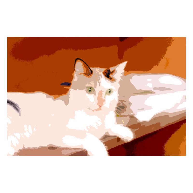 Ich liebe Katzen