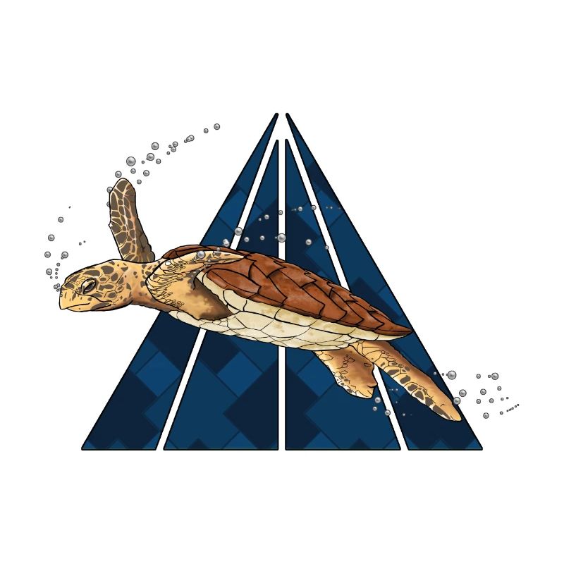 Hawksbill turtle