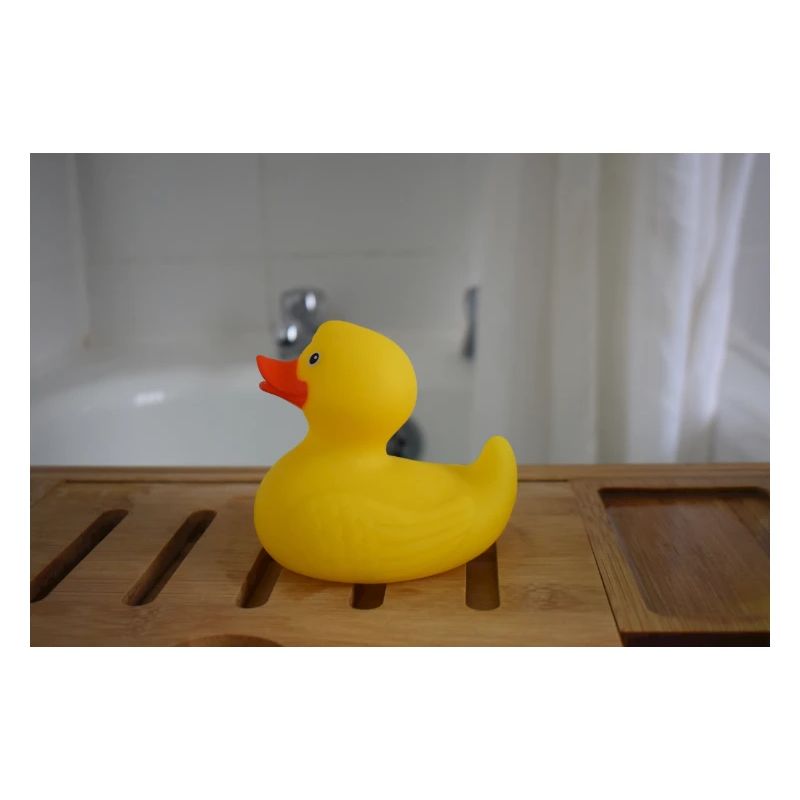 Rubber ducky