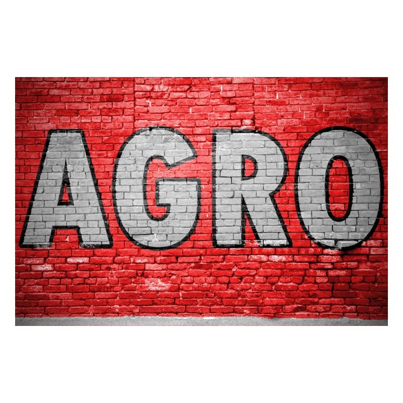 Agro Ziegelsteinmauer Graffiti