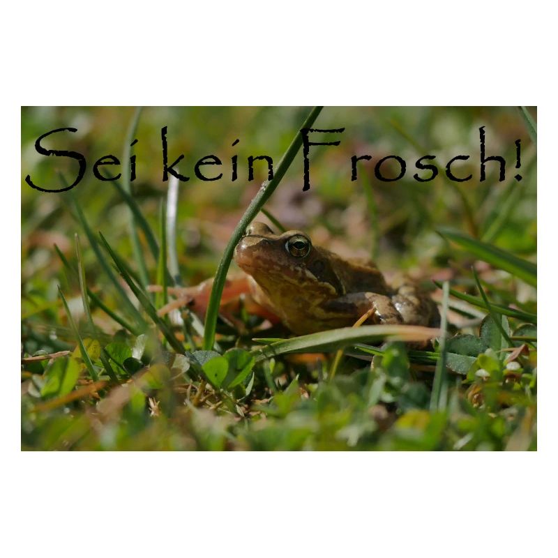 Sei kein Frosch