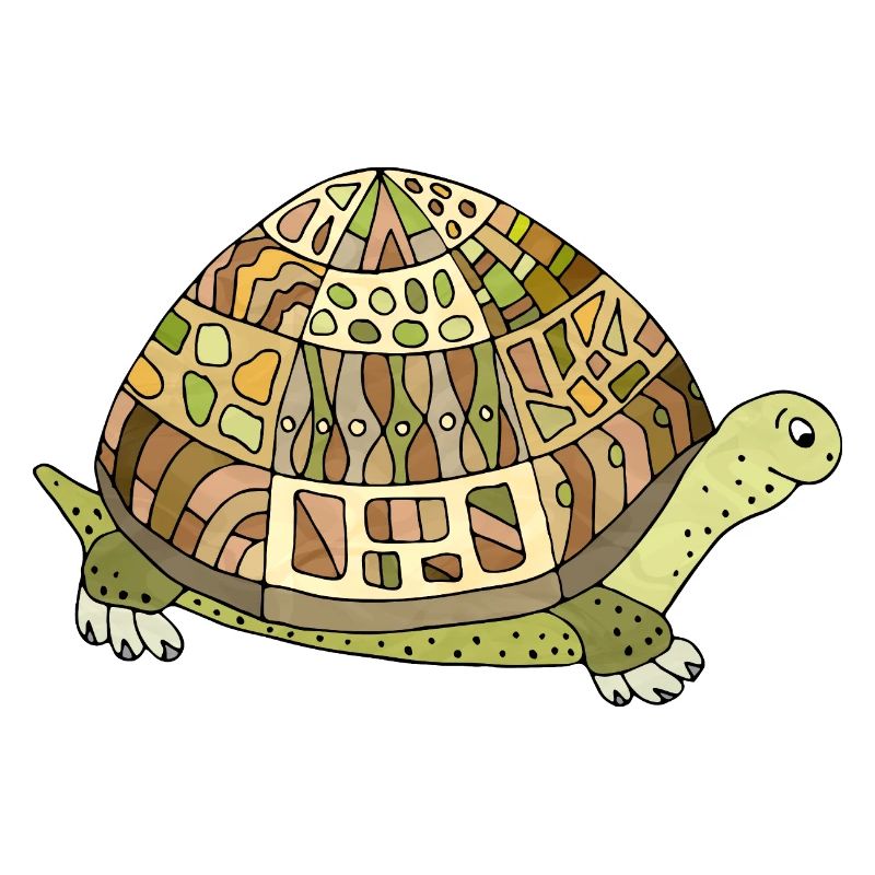 Tortoise