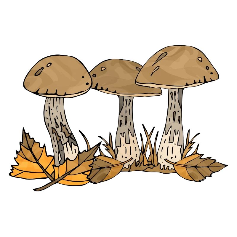 Fungi