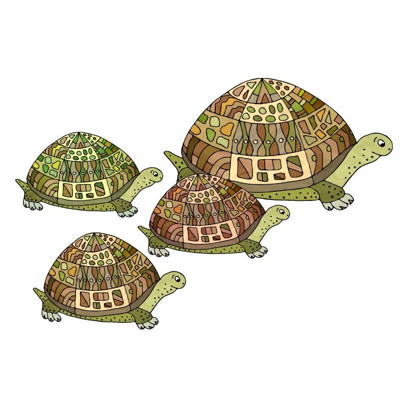 Turtles