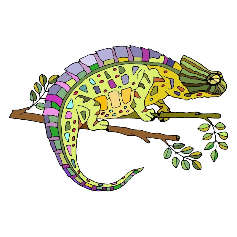 Chamäleon