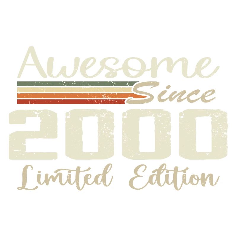 Birthday 24 Years Vintage 2000 Gift 2000