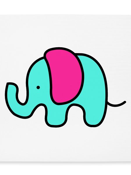baby elefant
