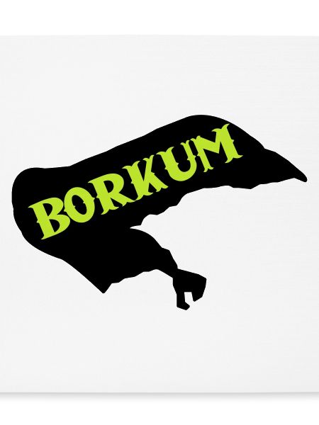 borkum insel