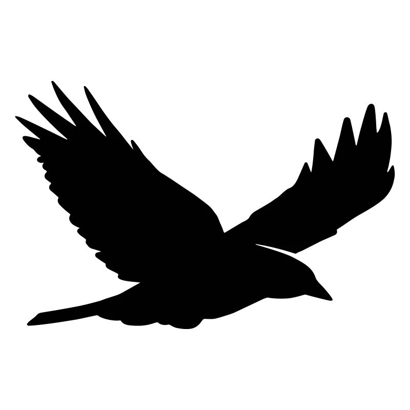 Rabe Silhouette