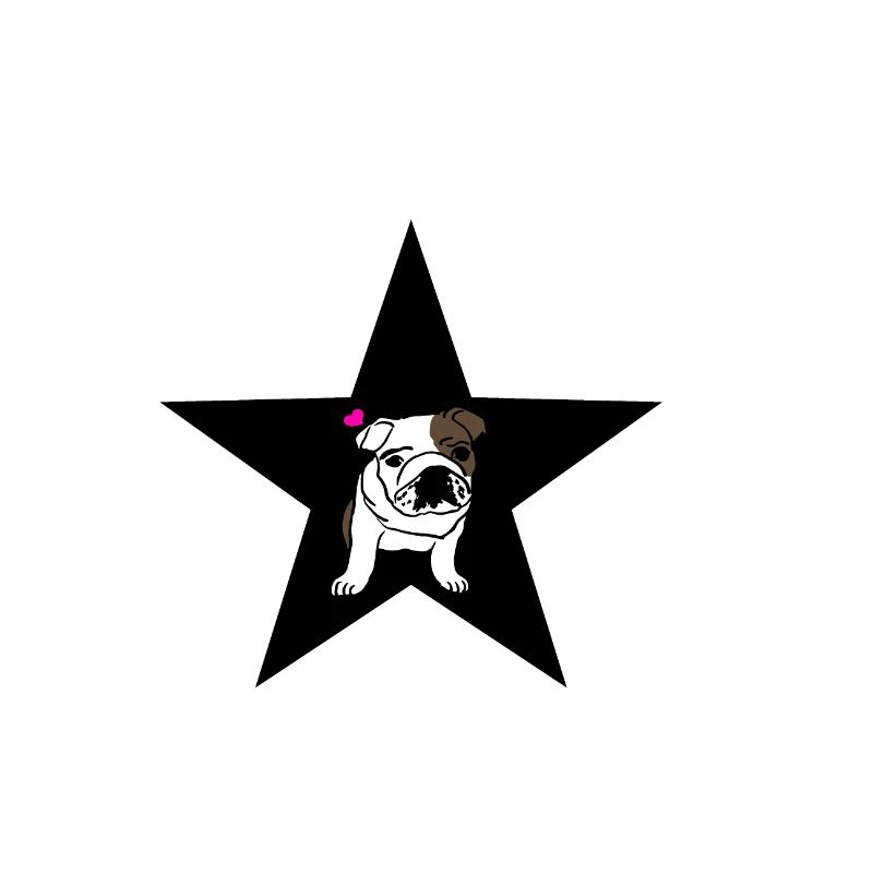 Stern,Bulldogge