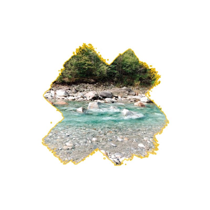 Maggia