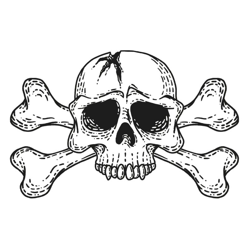 skull with bones