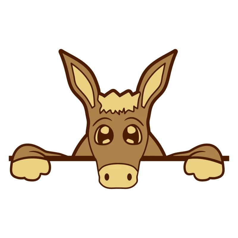 wall wall half text field area write small