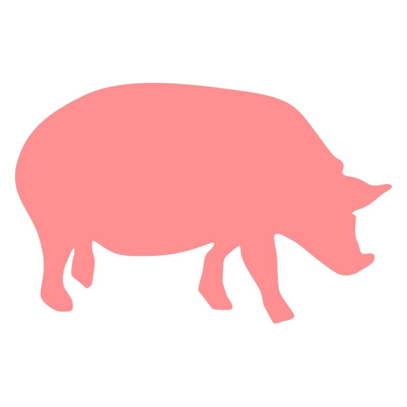 schwein