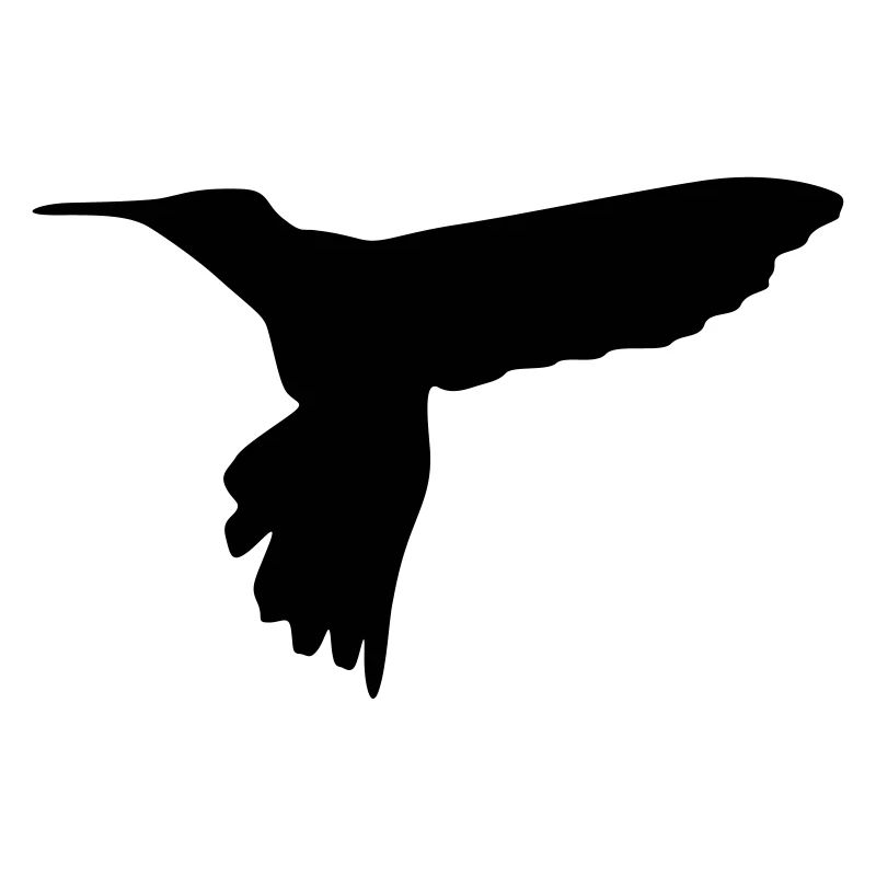 kolibri vogel