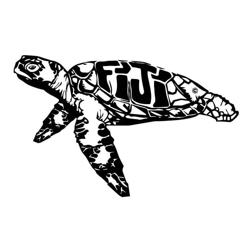 Pacific turtle, turtle