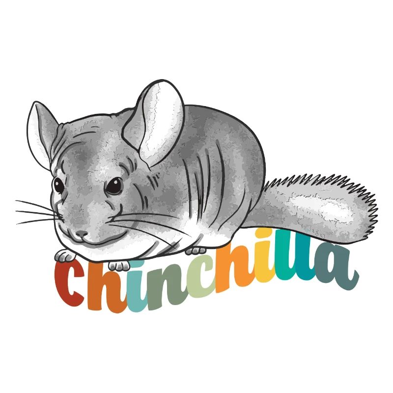 Chinchilla