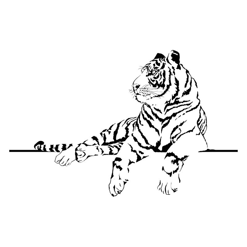 Schwarz-weißer Tiger