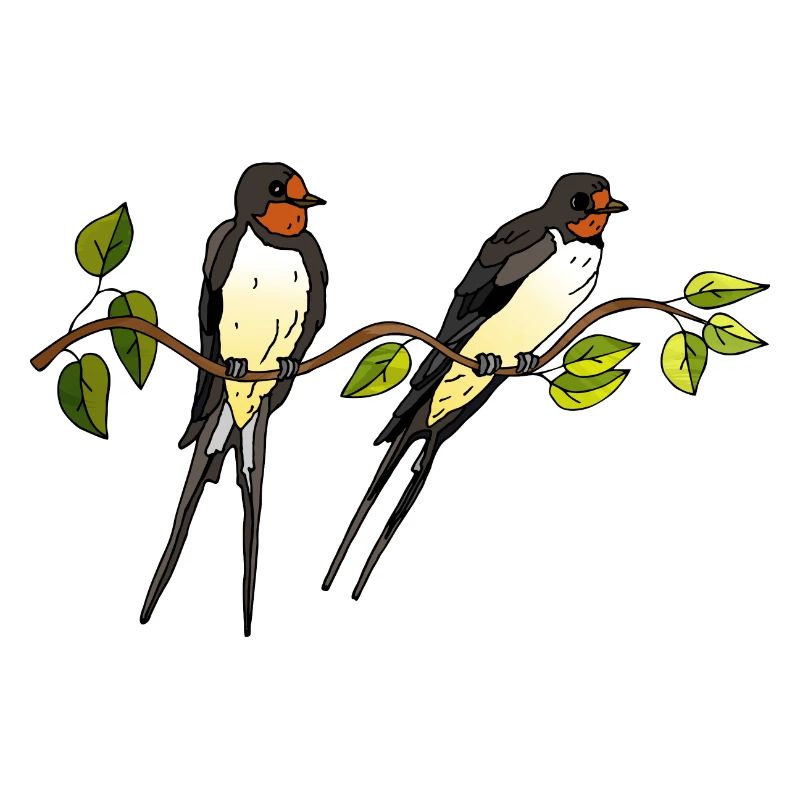 Vögel