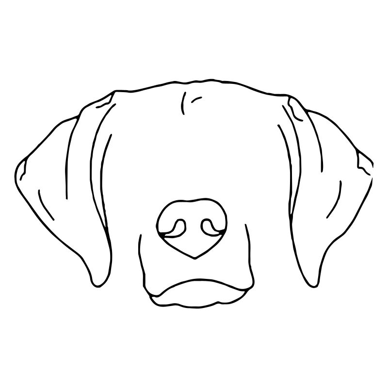 Hund