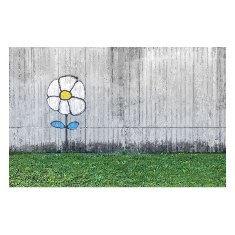 Graffiti eines Gänseblümchens