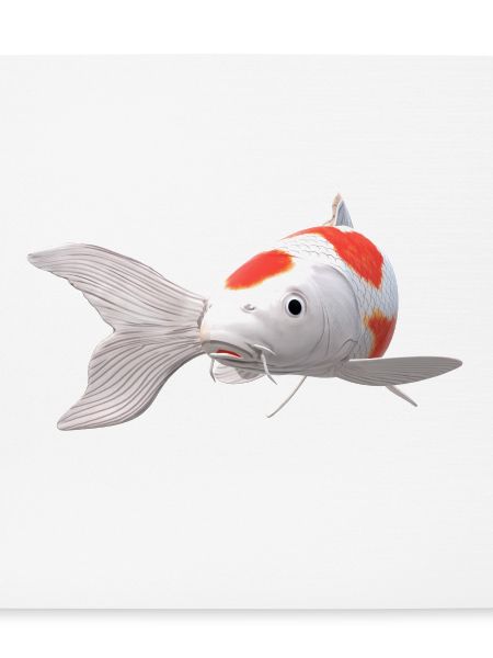 3D Koi