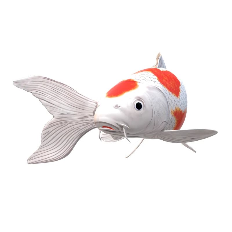 3D Koi